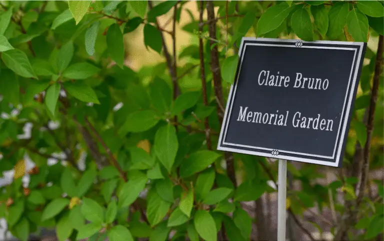 Claire Bruno-Bugsby Award